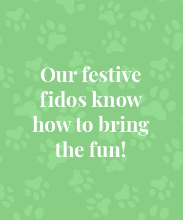 Our festive fidos know how to bring the fun!